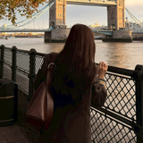 Signature StarRing Bag Brown