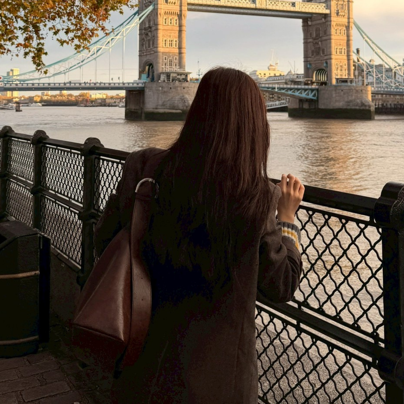 Signature StarRing Bag Brown