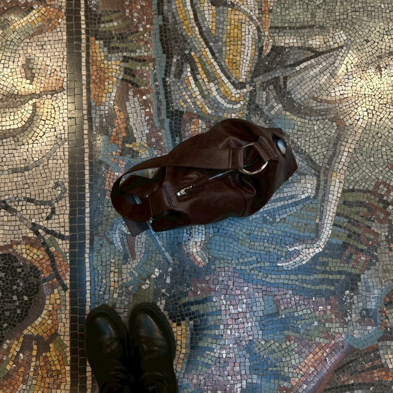 Signature StarRing Bag Brown