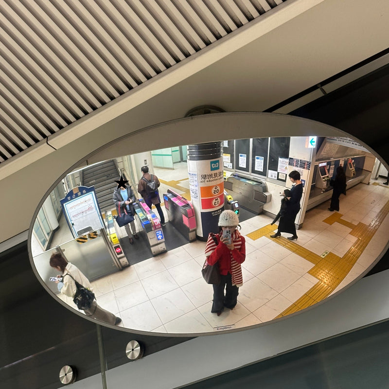 Cozy Point Muffler Candy Cane